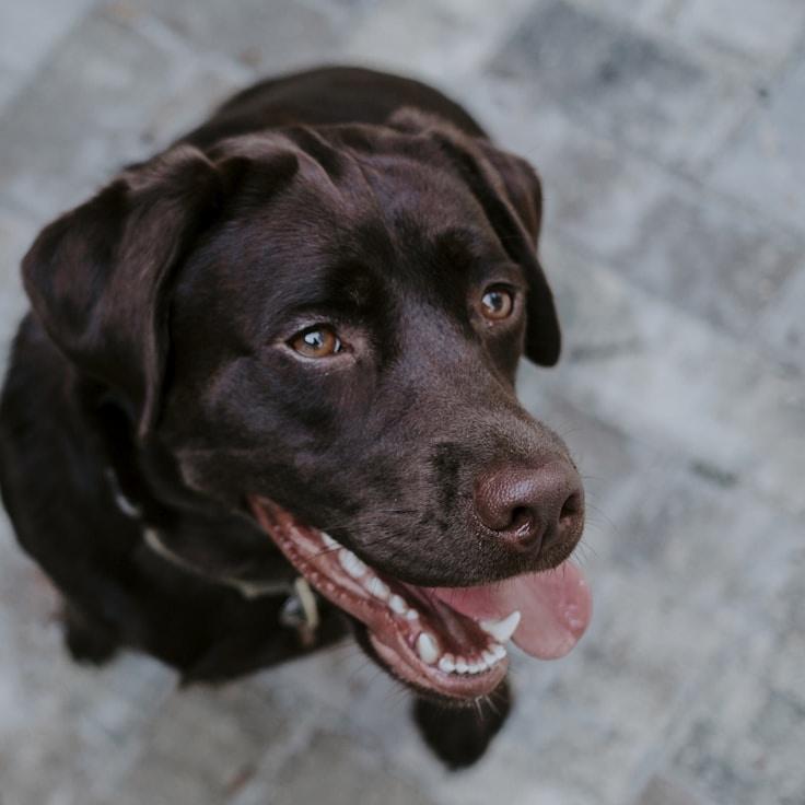 Portrait of Mika Chen, group coordinator and fusion cooking expert